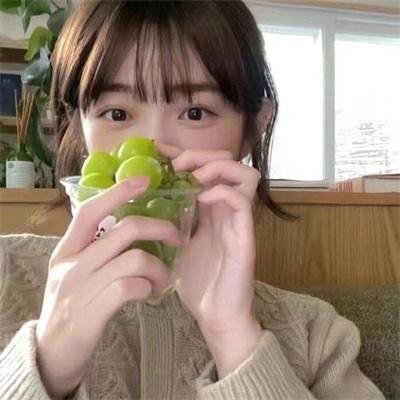 铁耙